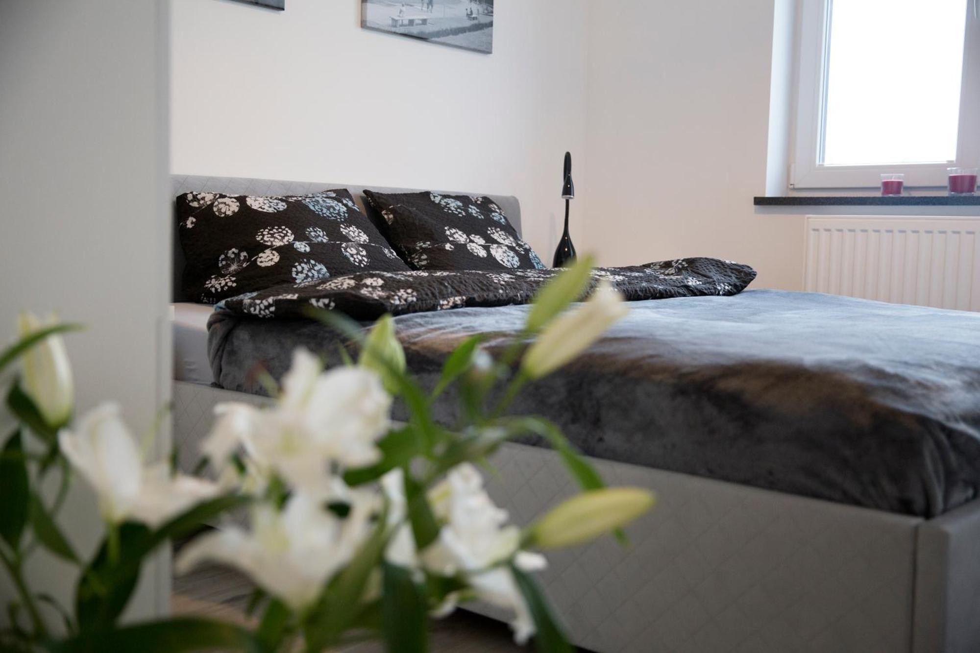 Апартаменти Apartament 102 G&W Вроцлав Екстер'єр фото